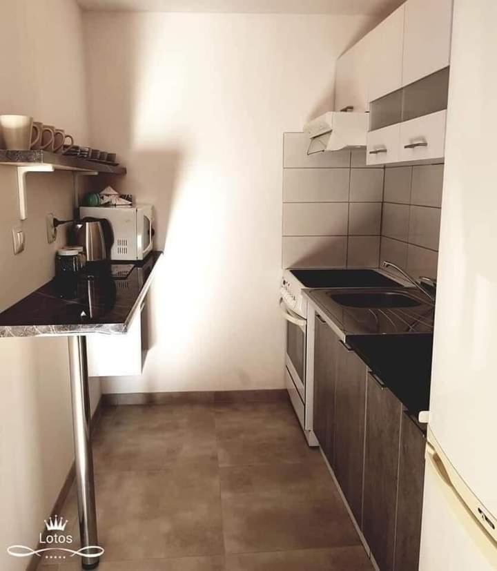 Apartament Lotos Zator Extérieur photo